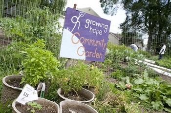 growing hope garden.jpg